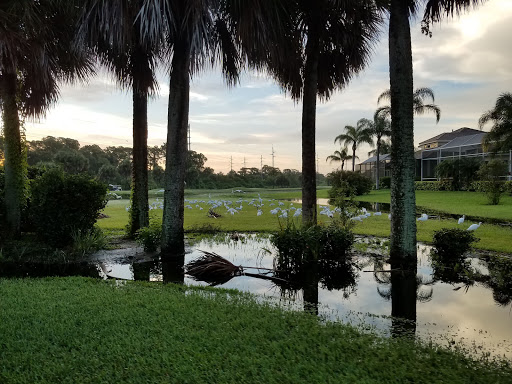 Private Golf Course «Bayou Club», reviews and photos, 7979 Bayou Club Blvd, Largo, FL 33777, USA