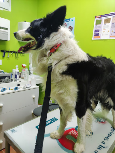 Clínica Veterinaria Canvet en Requejada