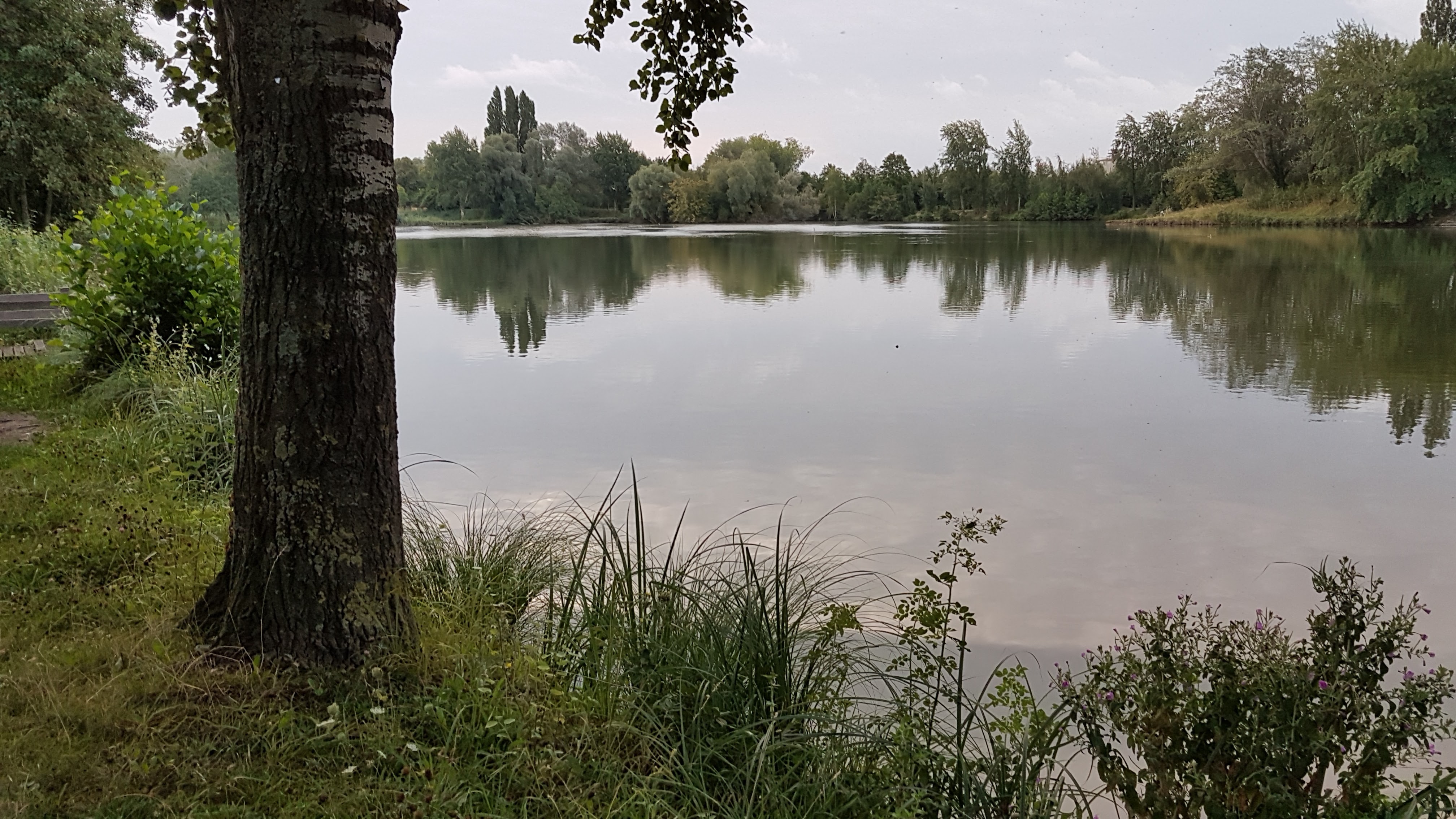 Photo n° 4 de l'avis de Delcloy.l fait le 13/10/2018 à 16:06