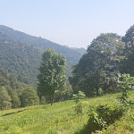 Photo n°2 de l'avis de Paotex. fait le 20/08/2023 à 19:00 sur le  Canal Secco Antico à Oropa