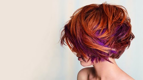 Over The Edge Hair Salon 33021