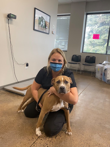 The Bond Between Veterinary Center image