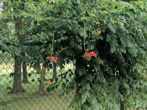 Golf Course «Lake Shawnee Golf Course», reviews and photos, 4141 SE East Edge Rd, Topeka, KS 66609, USA