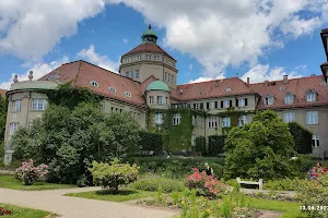 Botanische Staatssammlung München image