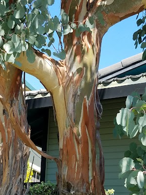 Crestview Park - photo 29