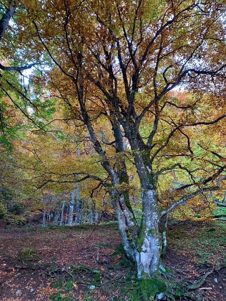 Photo n° 7 de l'avis de Gérard.e fait le 25/02/2024 à 14:47
