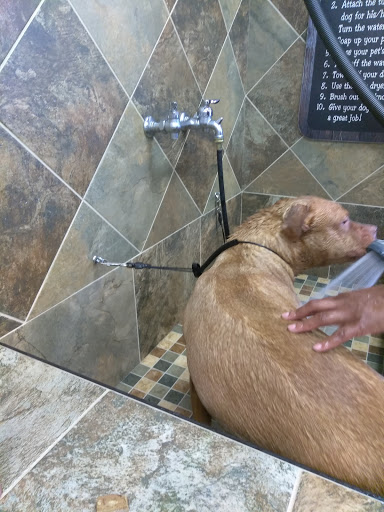 Pet Supply Store «Pet Valu», reviews and photos, 16675 Chagrin Blvd, Shaker Heights, OH 44120, USA