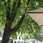 Photo n°6 de l'avis de Hydrey.0 fait le 20/08/2020 à 14:06 sur le  Old Bank à Karlsruhe