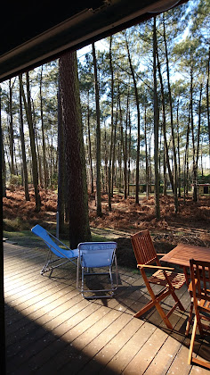 Photos des visiteurs Hébergement Les Fougères 40550 Léon