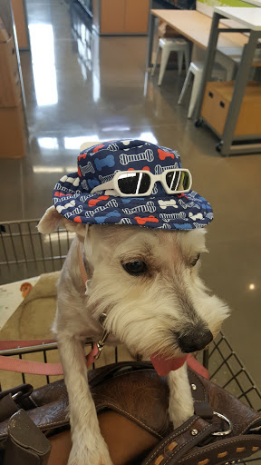 Pet Supply Store «Petco Animal Supplies», reviews and photos, 12444 NW 10th St #301, Yukon, OK 73099, USA