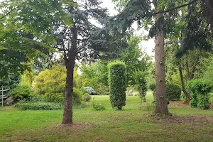 Karaca Arboretum image
