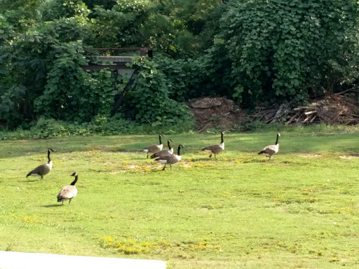 Park «Hunter Memorial Park», reviews and photos, 8830 Gurley Rd, Douglasville, GA 30134, USA