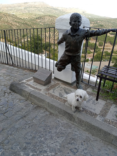 Consulta Veterinaria 