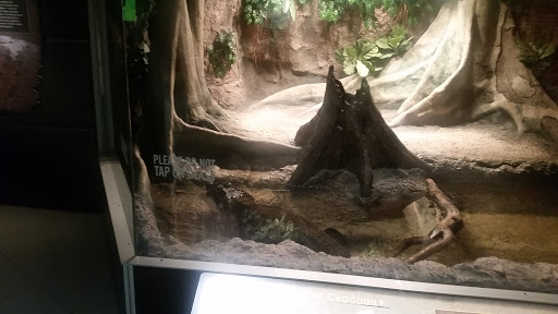 Museum «National Geographic Museum», reviews and photos, 1145 17th Street NW, Washington, DC 20036, USA