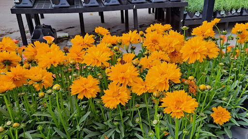 Department Store «Walmart Supercenter», reviews and photos, 6675 Business Center Dr, Highlands Ranch, CO 80130, USA