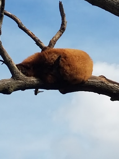 Zoo «Topeka Zoo», reviews and photos, 636 SW Zoo Pkwy, Topeka, KS 66606, USA