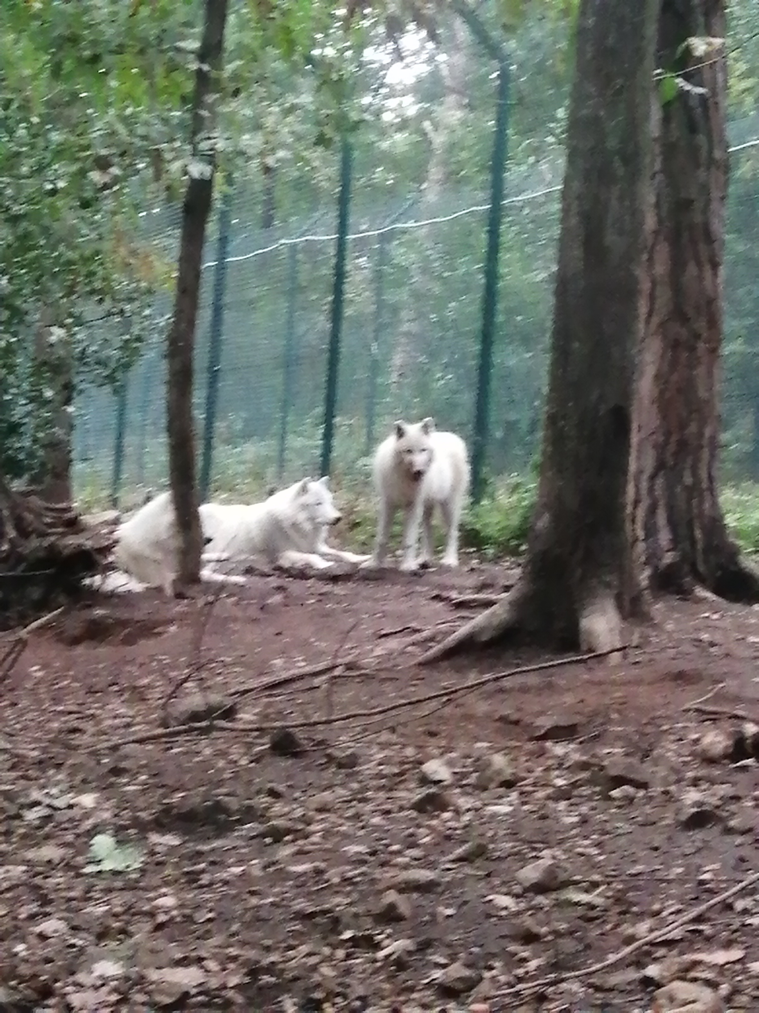 Photo n° 1 de l'avis de uneplumedefee. fait le 21/10/2020 à 13:03