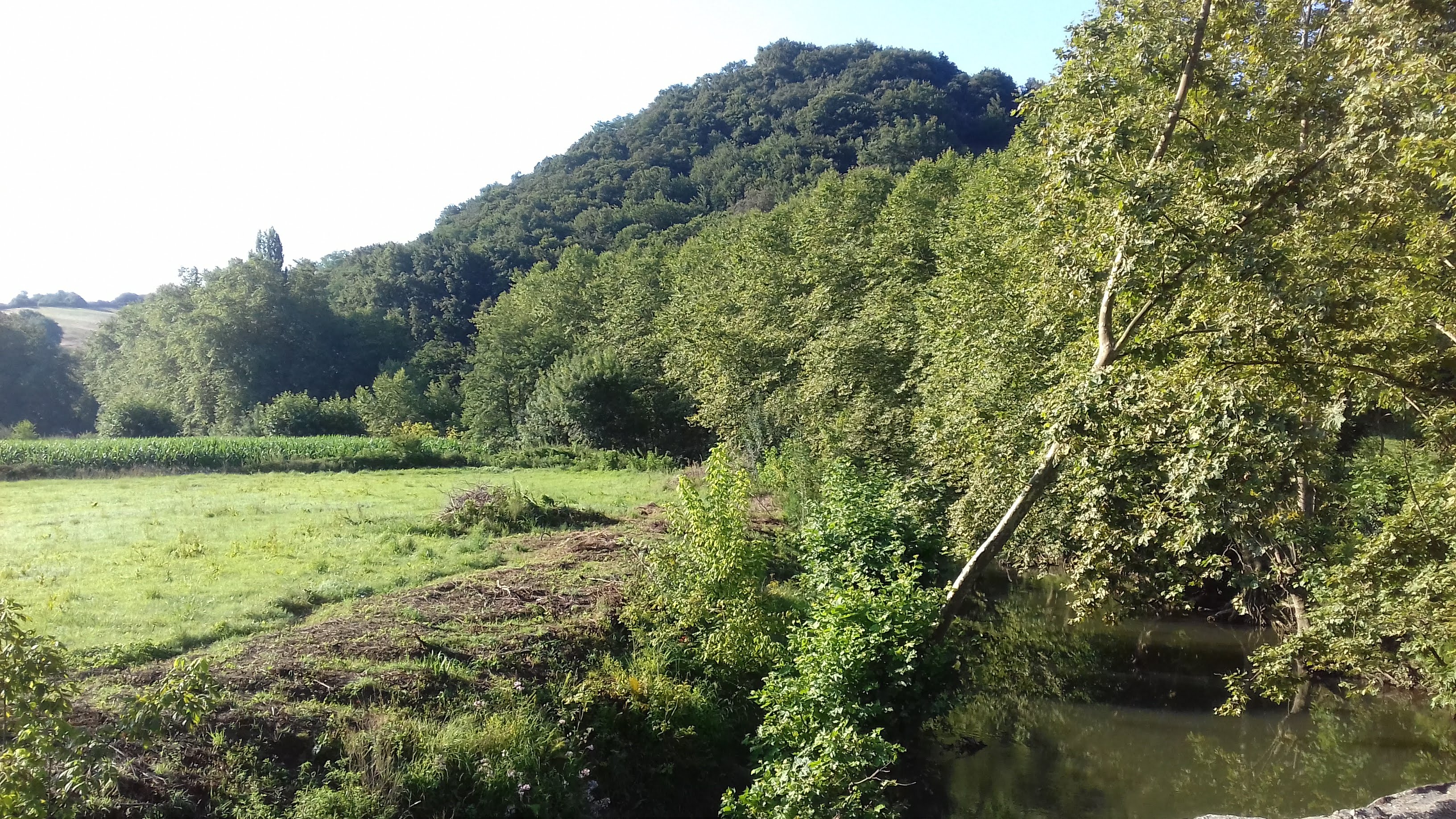 Photo n° 3 de l'avis de Breizh.b fait le 03/08/2019 à 10:30