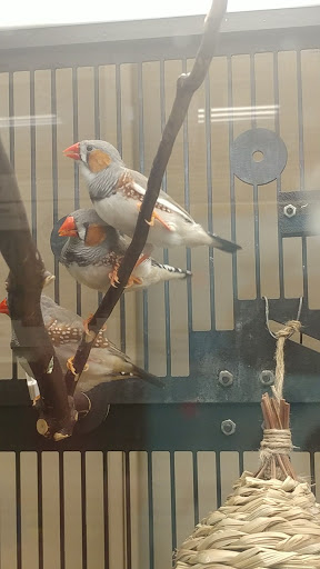 Pet Supply Store «PetSmart», reviews and photos, 534 US-441, Lady Lake, FL 32159, USA