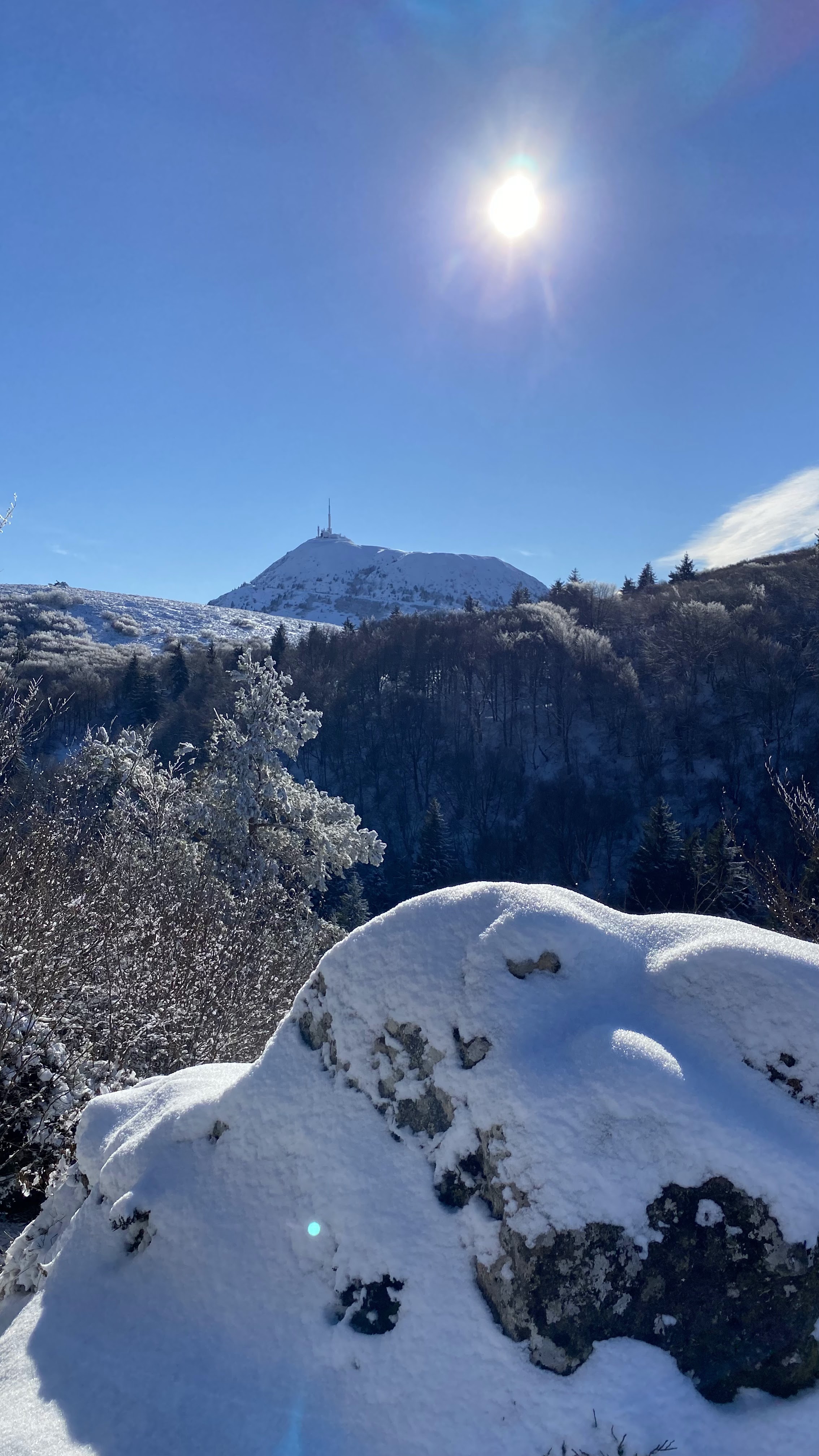 Photo n° 44 de l'avis de Michel.o fait le 12/01/2022 à 18:09