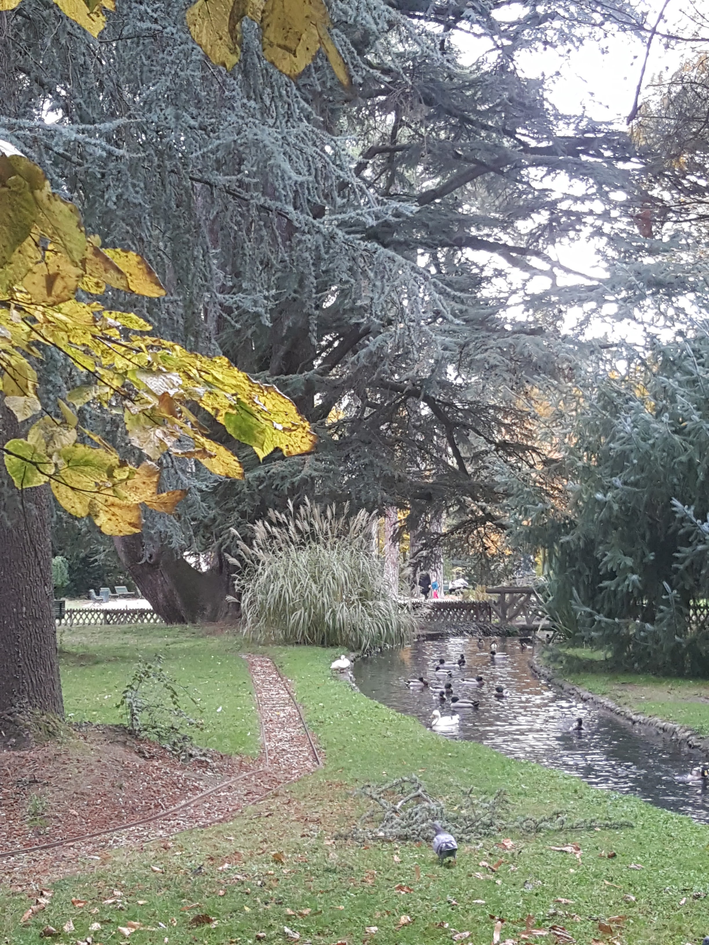 Photo n° 1 de l'avis de Sylvie.o fait le 25/10/2020 à 15:54