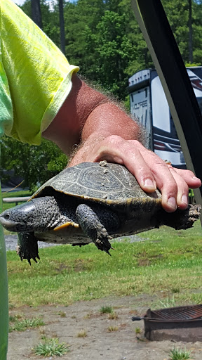 Theme Park «Frontier Town Western Theme Park», reviews and photos, 8428 Stephen Decatur Hwy, Berlin, MD 21811, USA