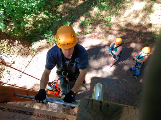 Tourist Attraction «Tree to Tree Adventure Park», reviews and photos, 2975 SW Nelson Rd, Gaston, OR 97119, USA