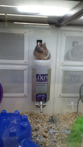 Pet Supply Store «Pet Supplies Plus», reviews and photos, 2500 S Main St, Rice Lake, WI 54868, USA