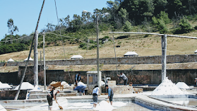 Salinas de Rio Maior