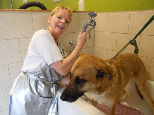 Dirty Hairy's Pet Emporium