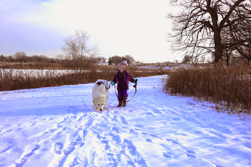 Nature Preserve «Nippersink Forest Preserve», reviews and photos, 900 W Belvidere Rd, Round Lake, IL 60073, USA