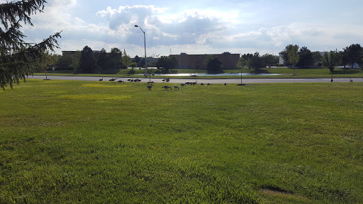 American Restaurant «Cracker Barrel Old Country Store», reviews and photos, 18531 N Creek Dr, Tinley Park, IL 60477, USA