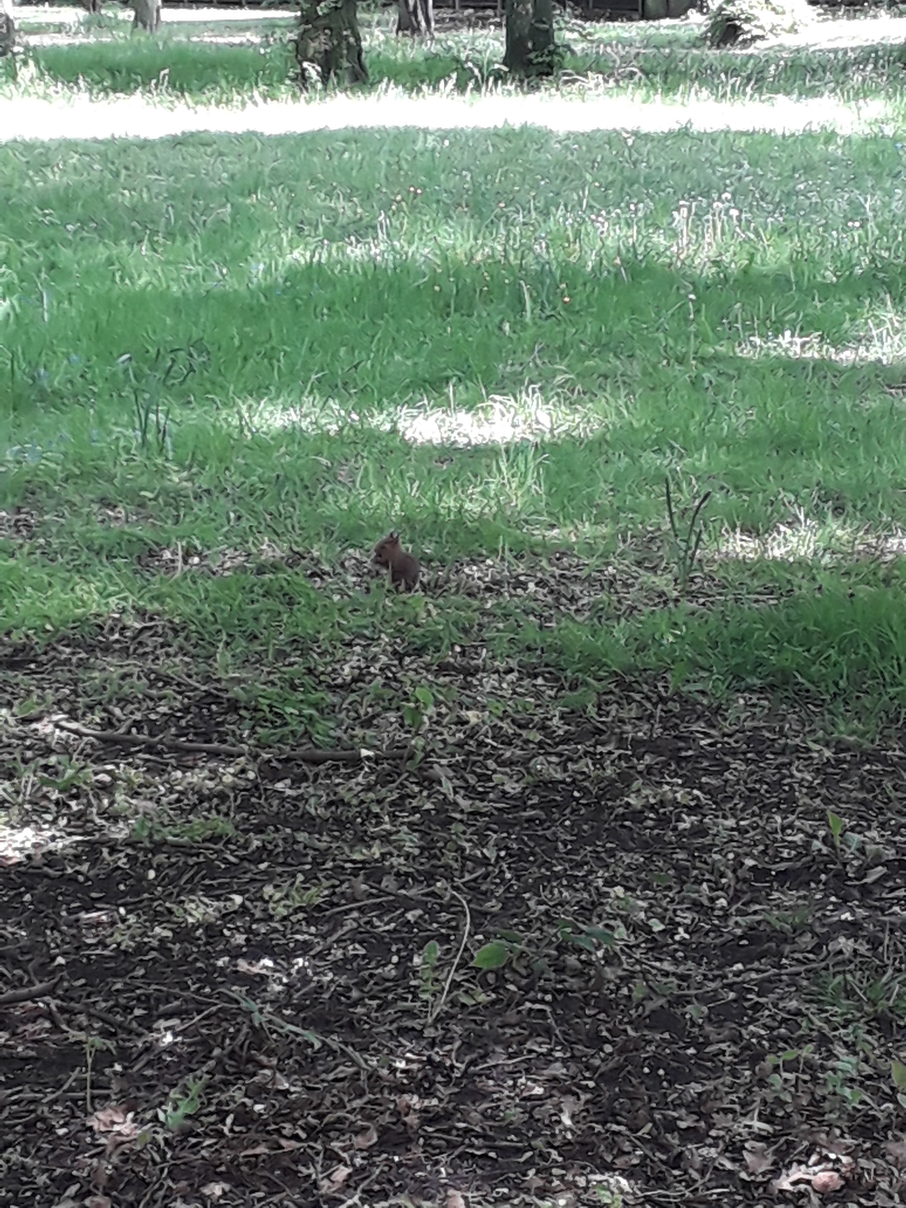 Photo n° 1 de l'avis de Jean-pierre.r fait le 05/04/2021 à 12:58