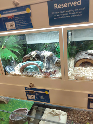 Pet Supply Store «PetSmart», reviews and photos, 3351 Jefferson Davis Hwy, Alexandria, VA 22305, USA