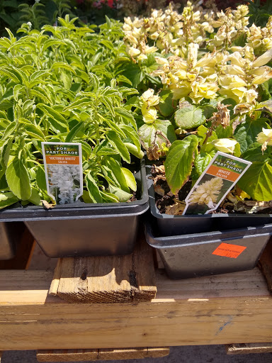 Pet Store «Teske Pet & Garden», reviews and photos, 2423 16th St, Moline, IL 61265, USA