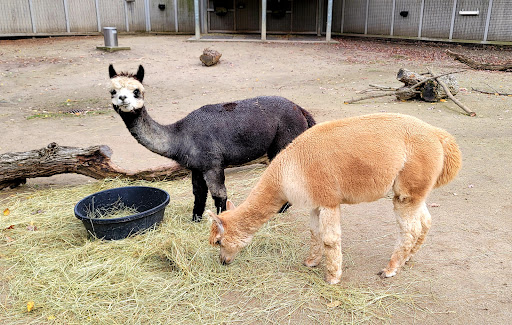 Zoo «Potter Park Zoo», reviews and photos, 1301 S Pennsylvania Ave, Lansing, MI 48912, USA