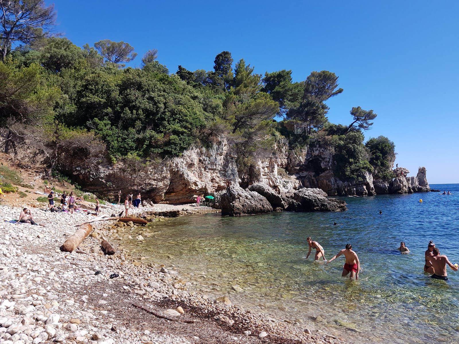 Bay of Antibes Billionaires'in fotoğrafı vahşi alan