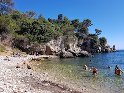 Bay of Antibes Billionaires'in fotoğrafı vahşi alan