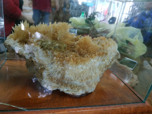 Top 20 cửa hàng ck Huyện Hoa Lư Ninh Bình 2022