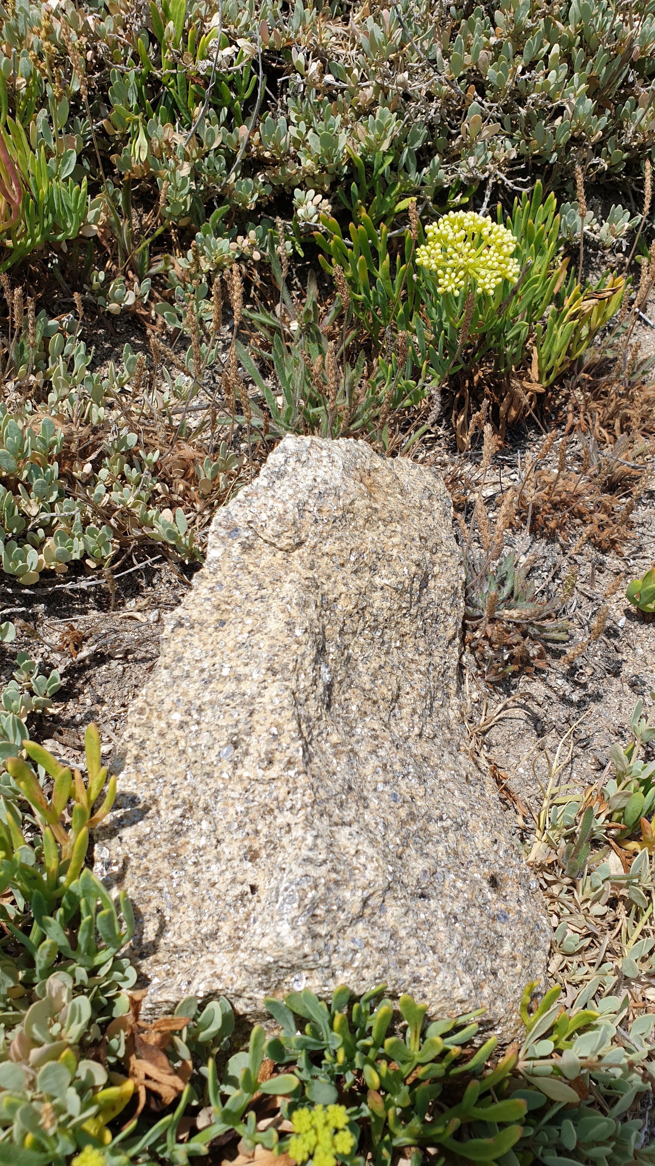 Photo n° 2 de l'avis de Jean-Philippe.a fait le 10/08/2019 à 15:02