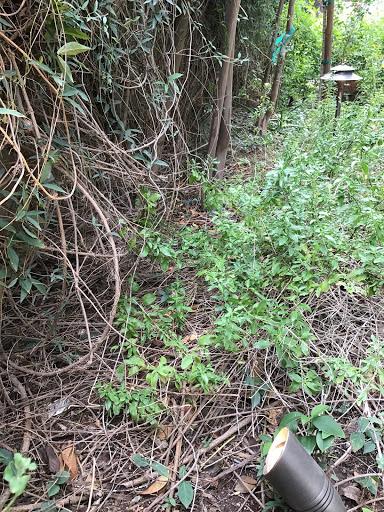 Electrician «Arizona Electrical Solutions LLC», reviews and photos, 1 E Washington St #500, Phoenix, AZ 85004, USA