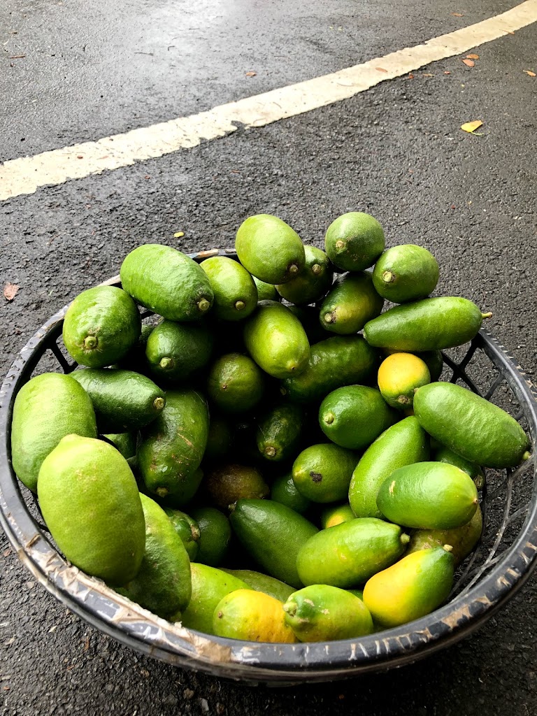 C`est La Vie飲料 花卉 在地小農水果 的照片