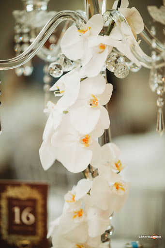 Wedding Planner «M & P Floral And Event Production», reviews and photos, 840 W Lake St, Roselle, IL 60172, USA