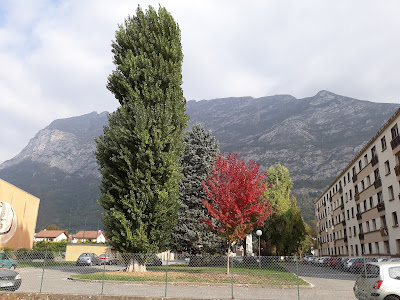 Copropriété Les Lilas à Saint-Egrève