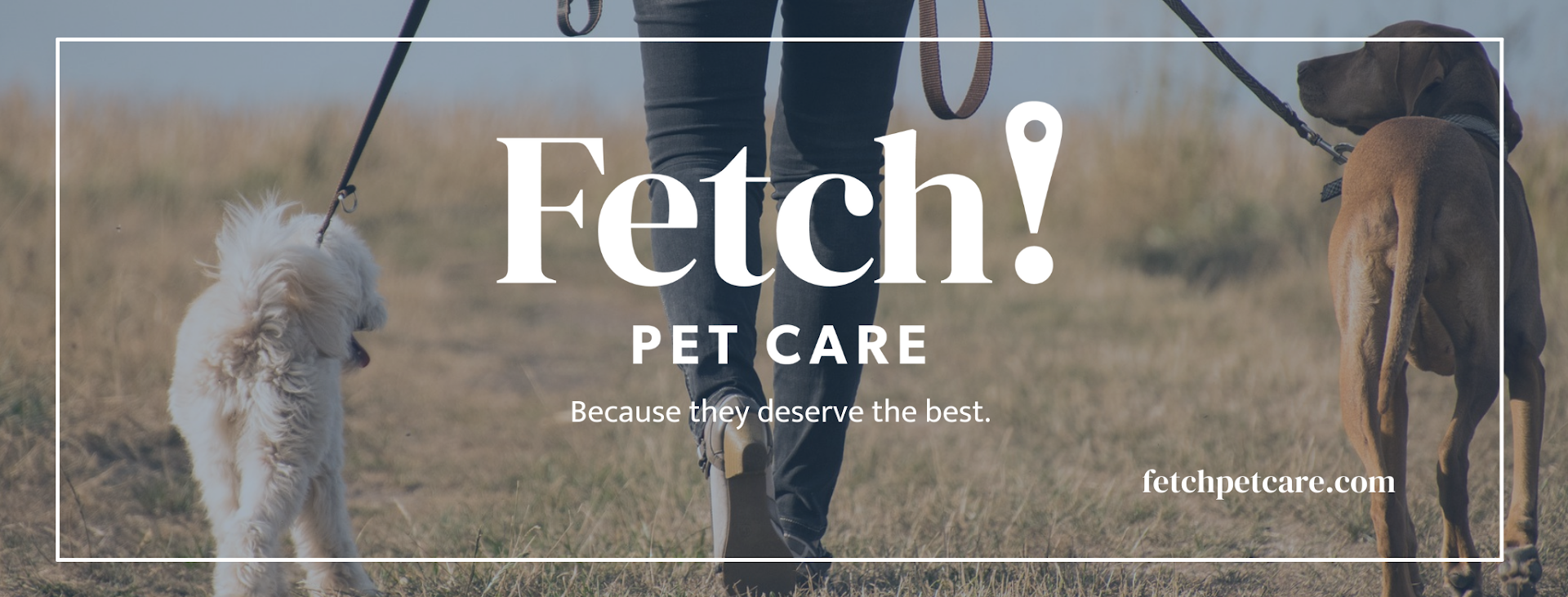 Fetch! Pet Care of Chandler & Gilbert