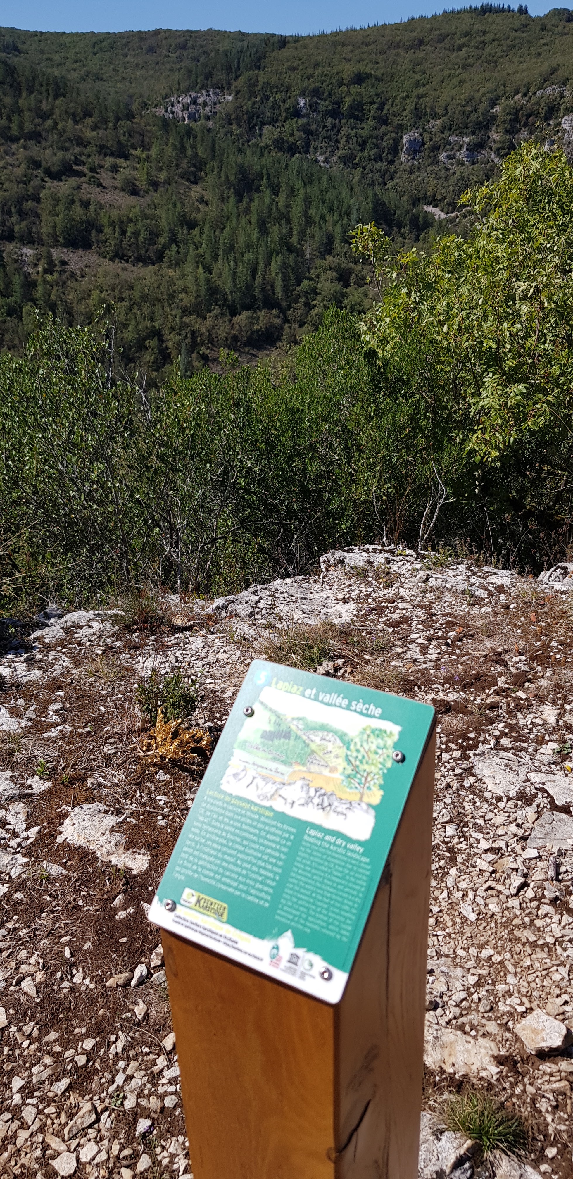 Photo n° 8 de l'avis de jean-marc.e fait le 13/10/2023 à 12:28
