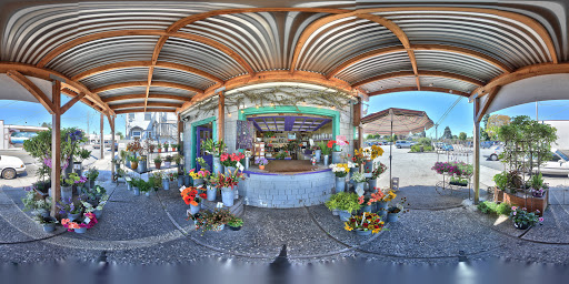 Florist «The Flower Shack», reviews and photos, 614 S Branciforte Ave, Santa Cruz, CA 95062, USA