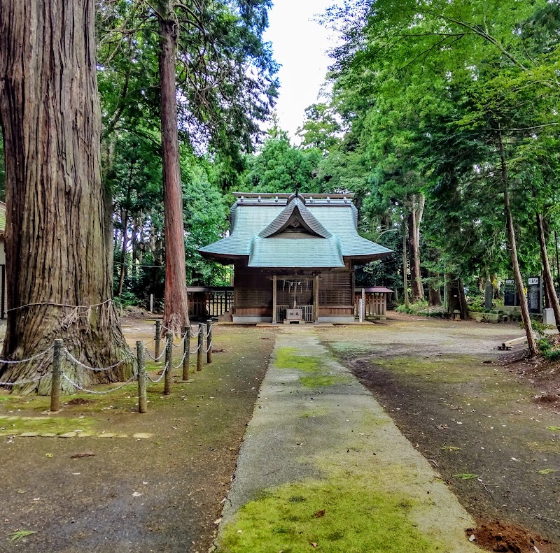 大生神社樹叢