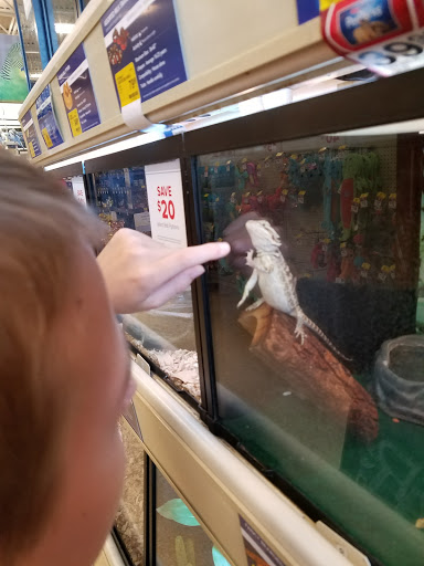 Pet Supply Store «PetSmart», reviews and photos, 14 Crossing Way #2, Augusta, ME 04330, USA