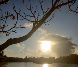 Mayura Park photo